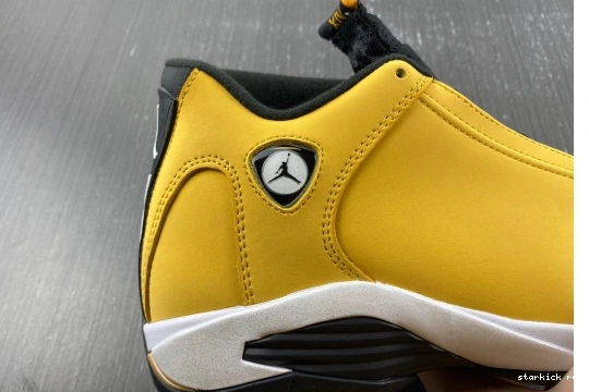 14 487471-701 Retro Light  487471-701 Ginger Jordan 1004
